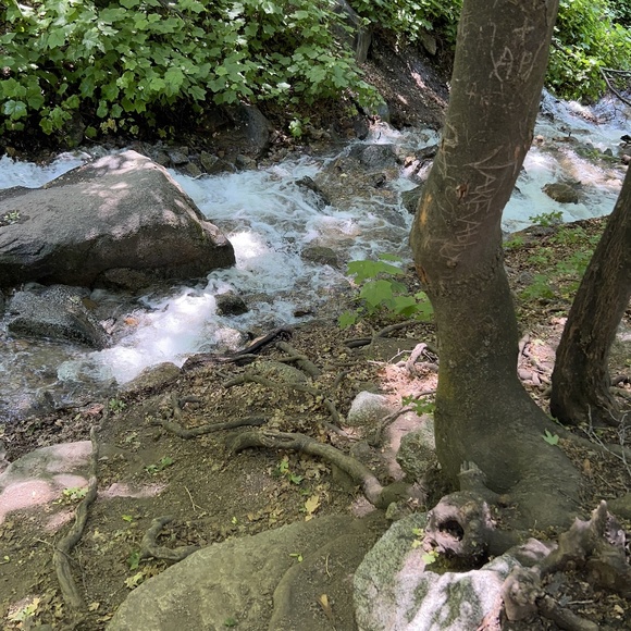 Meet your Posher, Michelle - Picture 1 of 1